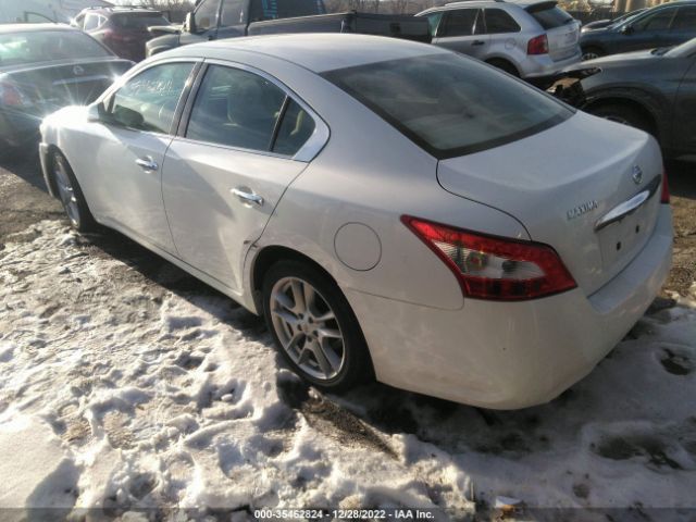 Photo 2 VIN: 1N4AA5AP9BC829280 - NISSAN MAXIMA 