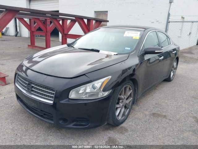 Photo 1 VIN: 1N4AA5AP9BC833507 - NISSAN MAXIMA 