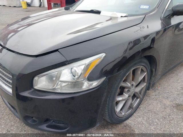 Photo 5 VIN: 1N4AA5AP9BC833507 - NISSAN MAXIMA 