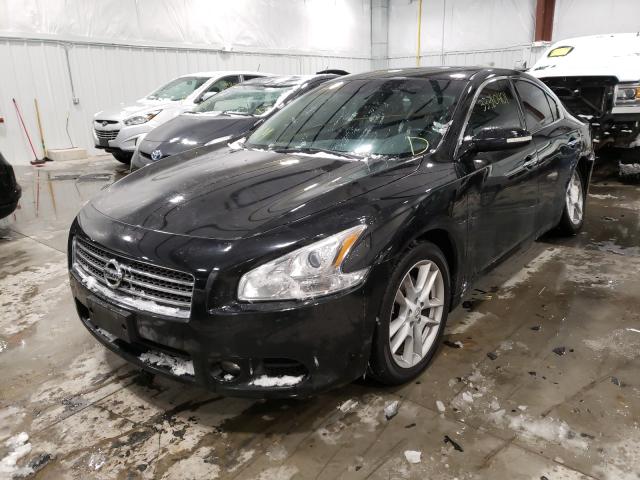 Photo 1 VIN: 1N4AA5AP9BC838111 - NISSAN MAXIMA S 