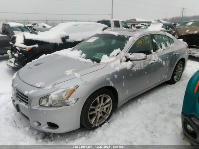 Photo 1 VIN: 1N4AA5AP9BC860920 - NISSAN MAXIMA 