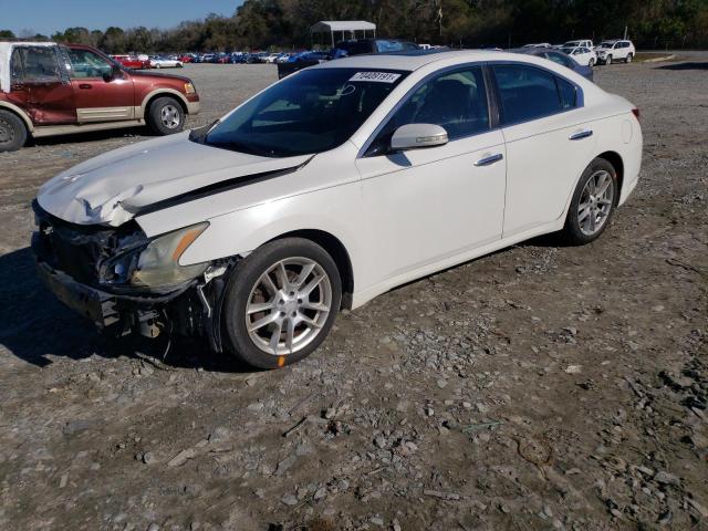 Photo 1 VIN: 1N4AA5AP9BC863008 - NISSAN MAXIMA S 