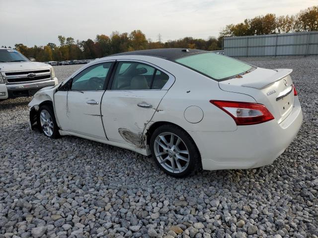 Photo 1 VIN: 1N4AA5AP9BC863381 - NISSAN MAXIMA S 