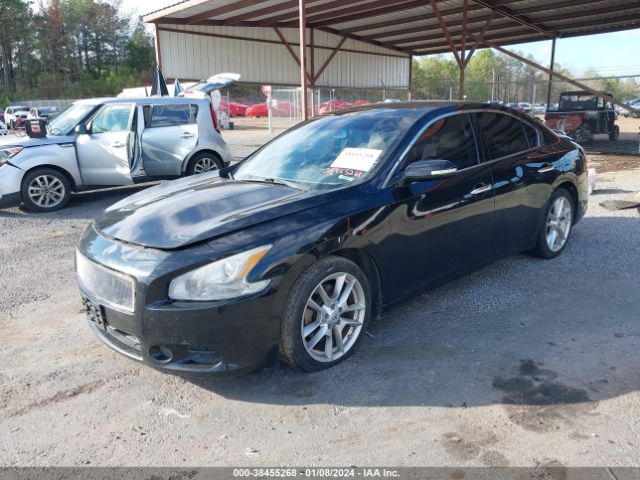 Photo 1 VIN: 1N4AA5AP9BC866524 - NISSAN MAXIMA 