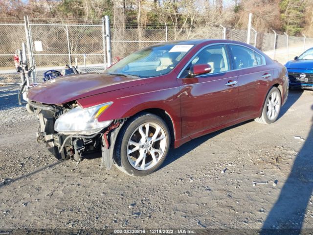 Photo 1 VIN: 1N4AA5AP9CC821553 - NISSAN MAXIMA 