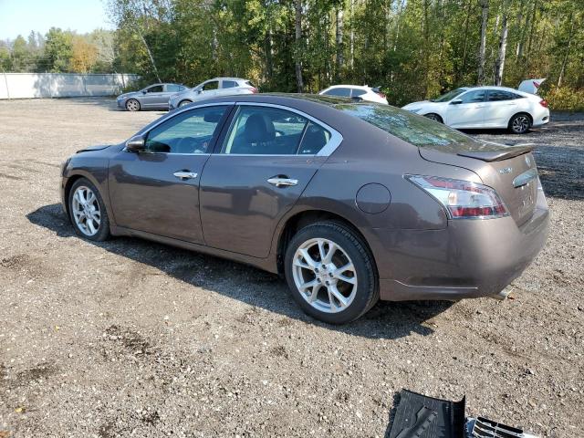 Photo 1 VIN: 1N4AA5AP9CC838384 - NISSAN MAXIMA S 