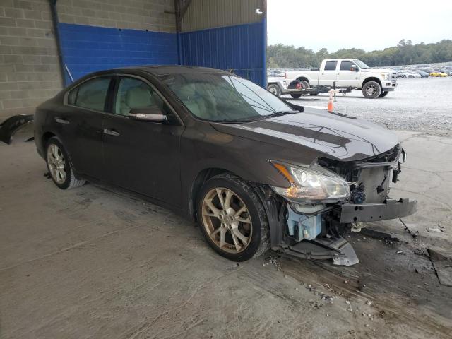 Photo 3 VIN: 1N4AA5AP9DC824891 - NISSAN MAXIMA 