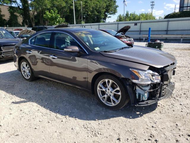 Photo 3 VIN: 1N4AA5AP9DC841139 - NISSAN MAXIMA 