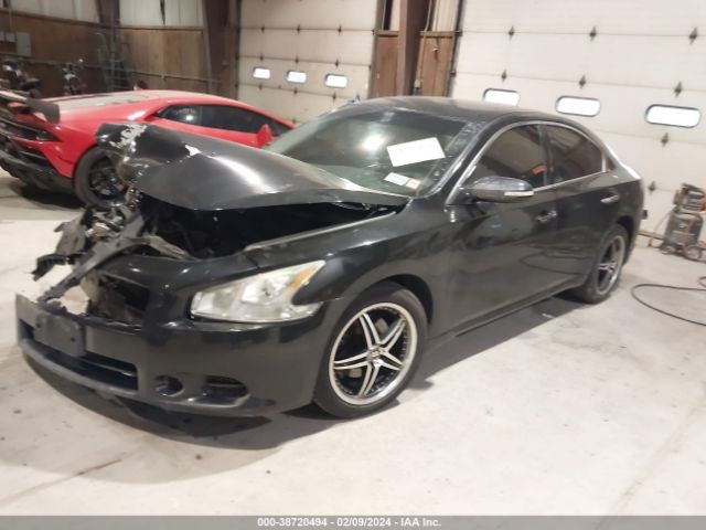 Photo 1 VIN: 1N4AA5AP9DC841285 - NISSAN MAXIMA 