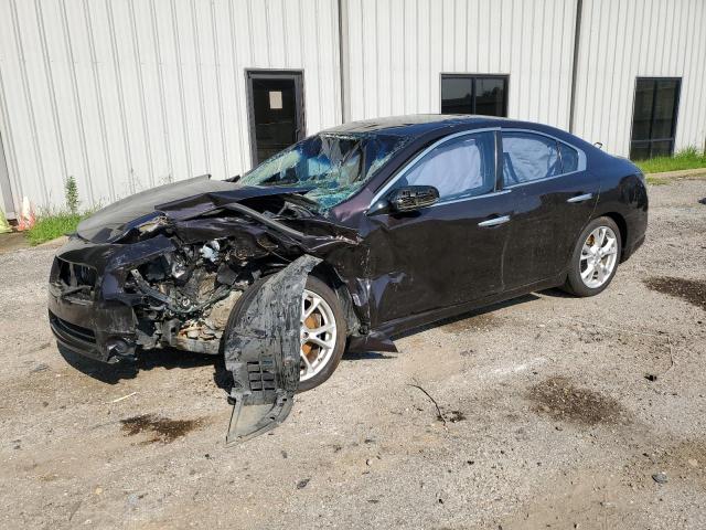 Photo 0 VIN: 1N4AA5AP9DC841710 - NISSAN MAXIMA S 