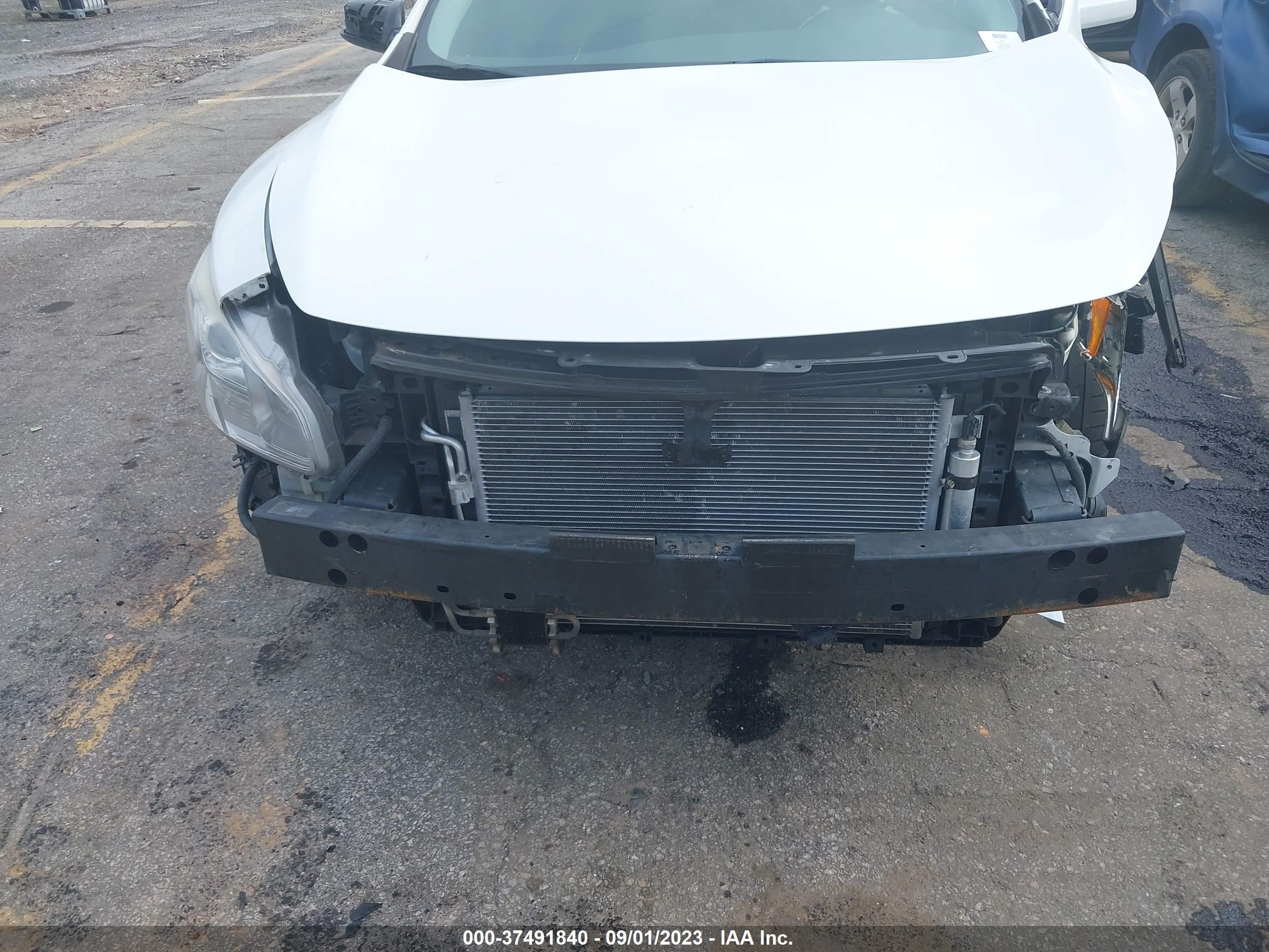 Photo 5 VIN: 1N4AA5AP9EC486250 - NISSAN MAXIMA 