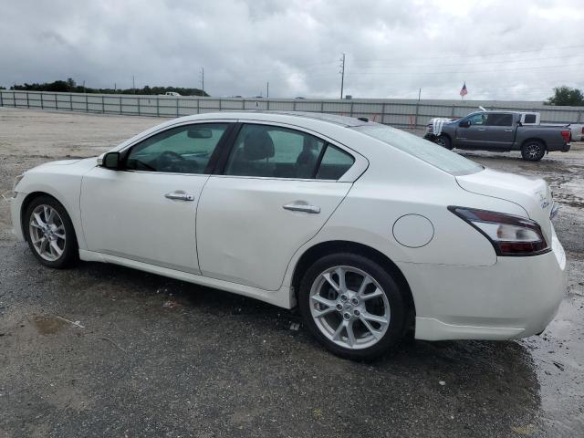 Photo 1 VIN: 1N4AA5AP9EC913202 - NISSAN MAXIMA S 