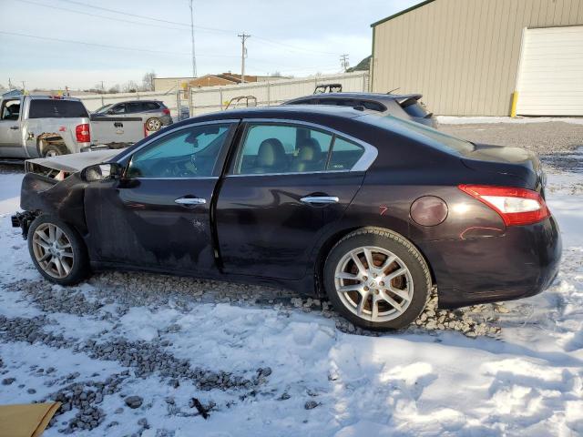 Photo 1 VIN: 1N4AA5APXAC804323 - NISSAN MAXIMA S 