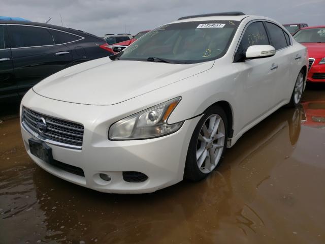 Photo 1 VIN: 1N4AA5APXAC805536 - NISSAN MAXIMA S 