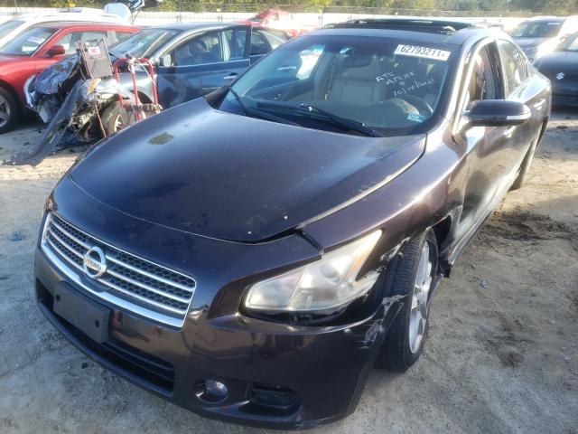 Photo 1 VIN: 1N4AA5APXAC805830 - NISSAN MAXIMA S 