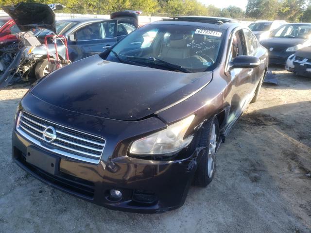 Photo 8 VIN: 1N4AA5APXAC805830 - NISSAN MAXIMA S 