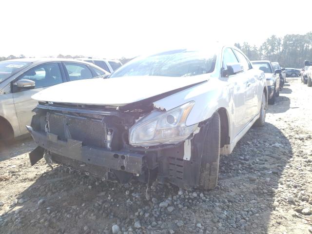 Photo 1 VIN: 1N4AA5APXAC806265 - NISSAN MAXIMA S 