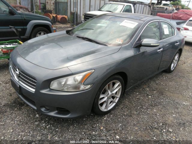 Photo 1 VIN: 1N4AA5APXAC806850 - NISSAN MAXIMA 