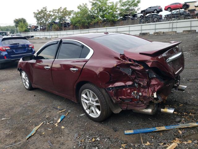 Photo 1 VIN: 1N4AA5APXAC808422 - NISSAN MAXIMA S 