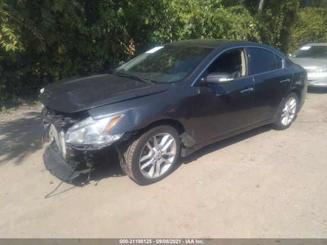 Photo 1 VIN: 1N4AA5APXAC810641 - NISSAN MAXIMA 