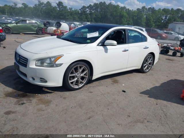 Photo 1 VIN: 1N4AA5APXAC811272 - NISSAN MAXIMA 