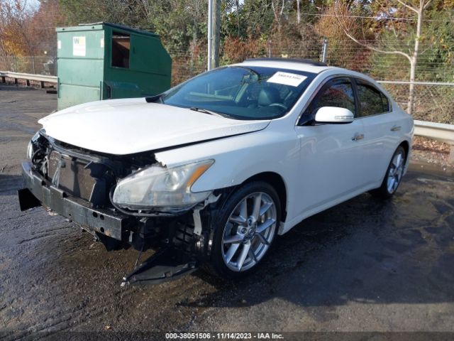 Photo 1 VIN: 1N4AA5APXAC815483 - NISSAN MAXIMA 