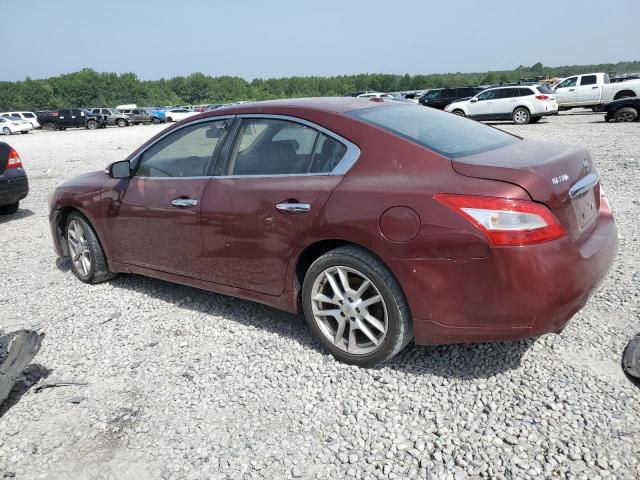 Photo 1 VIN: 1N4AA5APXAC818285 - NISSAN MAXIMA 