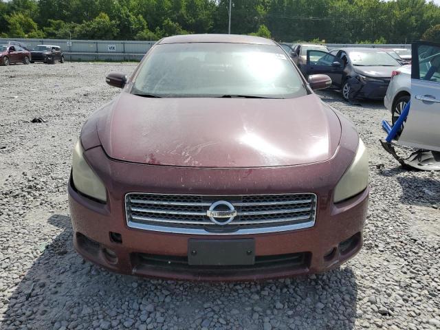 Photo 4 VIN: 1N4AA5APXAC818285 - NISSAN MAXIMA 