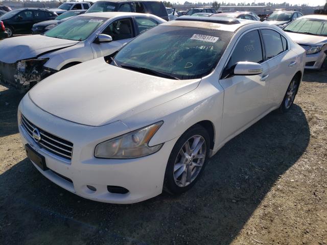 Photo 1 VIN: 1N4AA5APXAC821882 - NISSAN MAXIMA S 