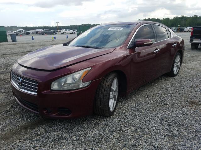 Photo 1 VIN: 1N4AA5APXAC830940 - NISSAN MAXIMA S 