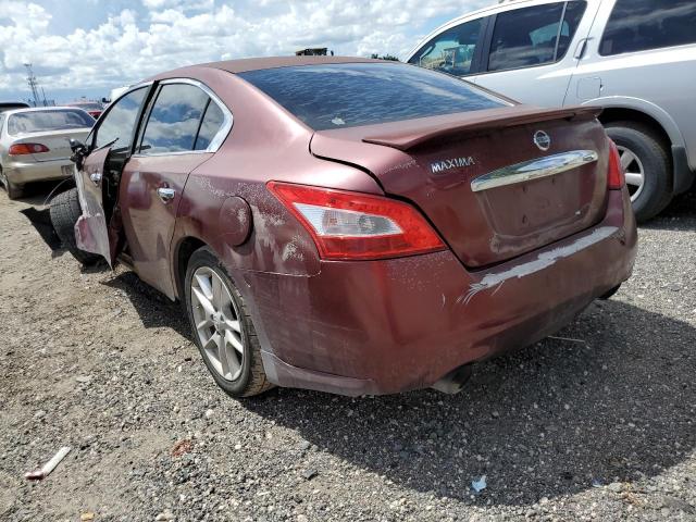 Photo 2 VIN: 1N4AA5APXAC833157 - NISSAN MAXIMA S 