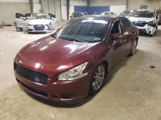 Photo 1 VIN: 1N4AA5APXAC834261 - NISSAN MAXIMA S 