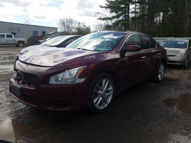 Photo 1 VIN: 1N4AA5APXAC839699 - NISSAN MAXIMA S 