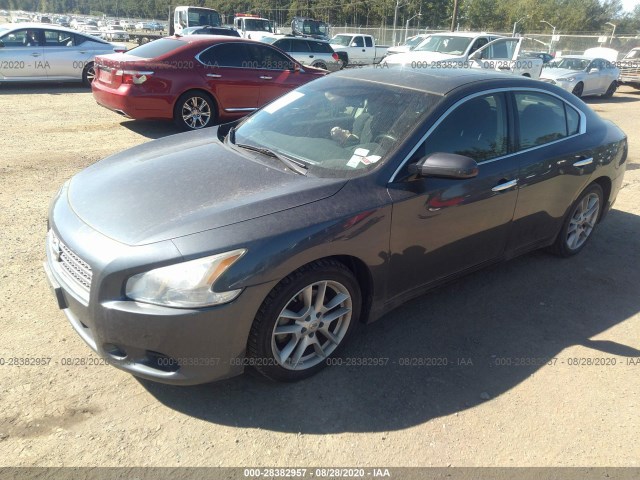 Photo 1 VIN: 1N4AA5APXAC840447 - NISSAN MAXIMA 