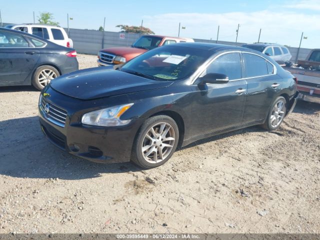 Photo 1 VIN: 1N4AA5APXAC842876 - NISSAN MAXIMA 