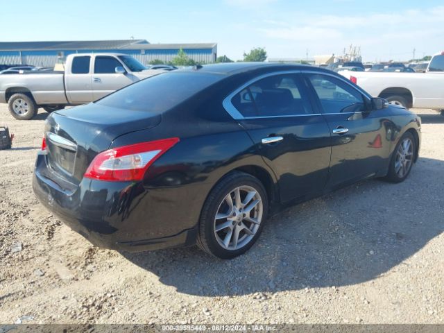 Photo 3 VIN: 1N4AA5APXAC842876 - NISSAN MAXIMA 