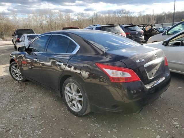 Photo 1 VIN: 1N4AA5APXAC844563 - NISSAN MAXIMA 