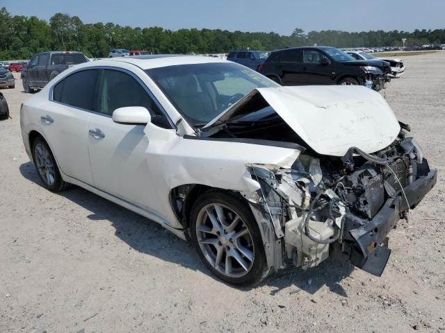 Photo 3 VIN: 1N4AA5APXAC850153 - NISSAN MAXIMA S 