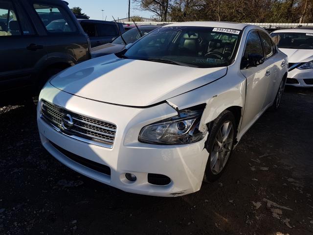 Photo 1 VIN: 1N4AA5APXAC852615 - NISSAN MAXIMA S 