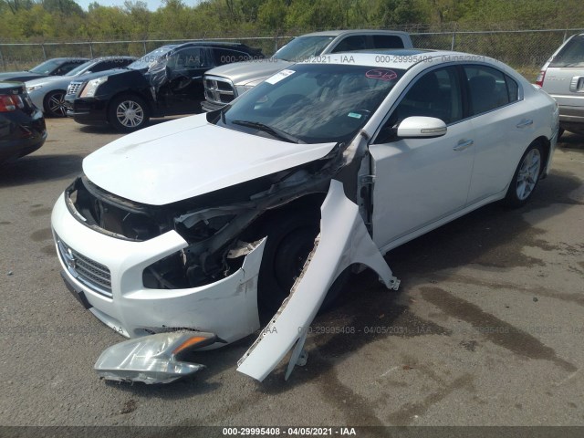 Photo 1 VIN: 1N4AA5APXAC865137 - NISSAN MAXIMA 