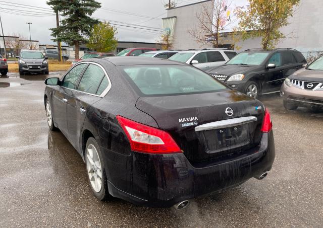 Photo 2 VIN: 1N4AA5APXBC800113 - NISSAN MAXIMA S 