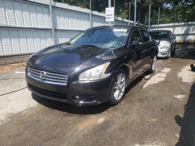 Photo 1 VIN: 1N4AA5APXBC801827 - NISSAN MAXIMA S 