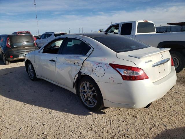 Photo 1 VIN: 1N4AA5APXBC801875 - NISSAN MAXIMA S 