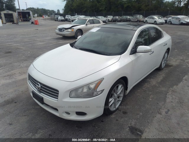 Photo 5 VIN: 1N4AA5APXBC803853 - NISSAN MAXIMA 