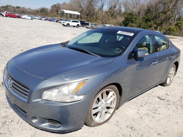 Photo 1 VIN: 1N4AA5APXBC803934 - NISSAN MAXIMA S 