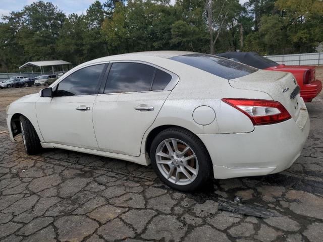 Photo 1 VIN: 1N4AA5APXBC804274 - NISSAN MAXIMA S 