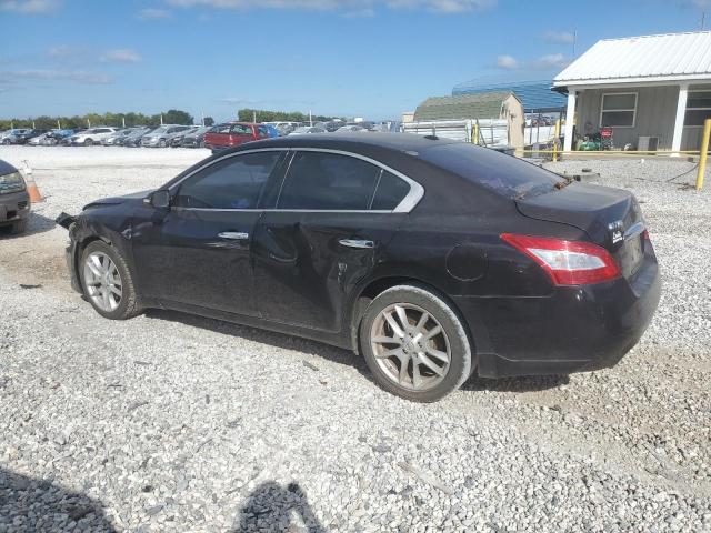 Photo 1 VIN: 1N4AA5APXBC807093 - NISSAN MAXIMA 