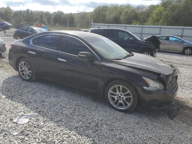 Photo 3 VIN: 1N4AA5APXBC807093 - NISSAN MAXIMA 