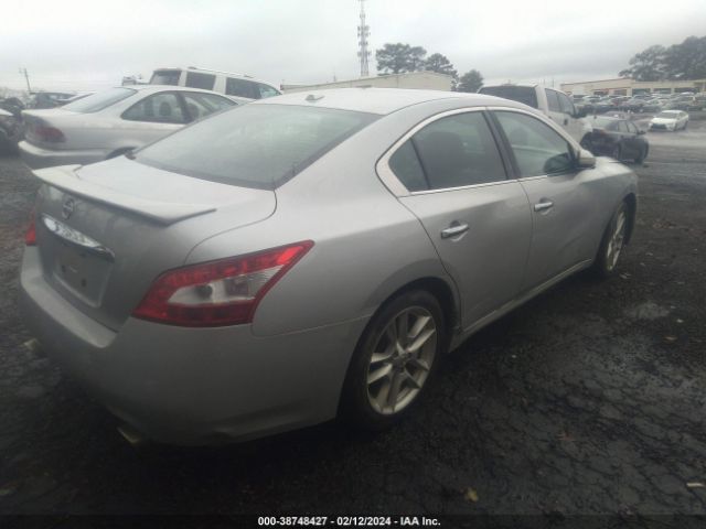 Photo 1 VIN: 1N4AA5APXBC808843 - NISSAN MAXIMA 