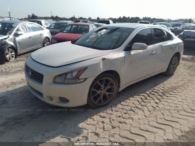 Photo 1 VIN: 1N4AA5APXBC809202 - NISSAN MAXIMA 